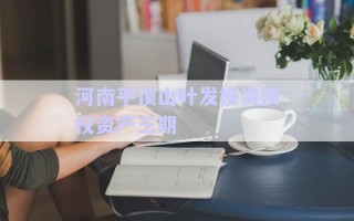 河南平頂山葉發(fā)投資債權(quán)資產(chǎn)三期 河南平頂山葉發(fā)投資債權(quán)資產(chǎn)三期
