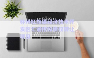 林州紅旗渠經(jīng)濟技術(shù)開發(fā)區(qū)匯通控股債權(quán)轉(zhuǎn)讓項目