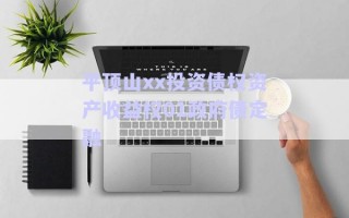 平頂山xx投資債權(quán)資產(chǎn)收益權(quán)01政府債定融 平頂山xx投資債權(quán)資產(chǎn)收益權(quán)01政府債定融