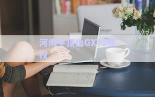 河南平頂山GXTZ債權(quán) 河南平頂山GXTZ債權(quán)