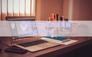 邯鄲SX城鄉(xiāng)建設(shè)發(fā)展債權(quán)資產(chǎn)項(xiàng)目