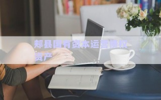 郟縣國(guó)有資本運(yùn)營(yíng)債權(quán)資產(chǎn)
