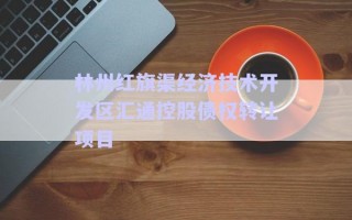 林州紅旗渠經(jīng)濟技術(shù)開發(fā)區(qū)匯通控股債權(quán)轉(zhuǎn)讓項目