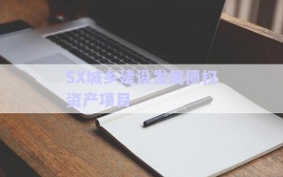 SX城鄉(xiāng)建設發(fā)展債權資產(chǎn)項目 SX城鄉(xiāng)建設發(fā)展債權資產(chǎn)項目