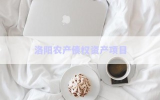 洛陽農(nóng)產(chǎn)債權(quán)資產(chǎn)項目
