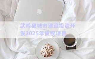 武陟縣城市建設(shè)投資開(kāi)發(fā)2025年債權(quán)項(xiàng)目 武陟縣城市建設(shè)投資開(kāi)發(fā)2025年債權(quán)項(xiàng)目