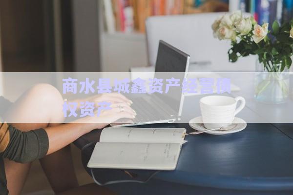 商水縣城鑫資產經營債權資產-第1張圖片-政信固收網(wǎng)
