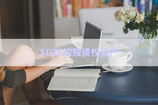 SDZF控股債權資產(chǎn)-第1張圖片-政信固收網(wǎng)