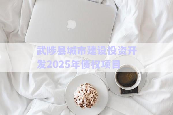 武陟縣城市建設(shè)投資開(kāi)發(fā)2025年債權(quán)項(xiàng)目-第1張圖片-政信固收網(wǎng)